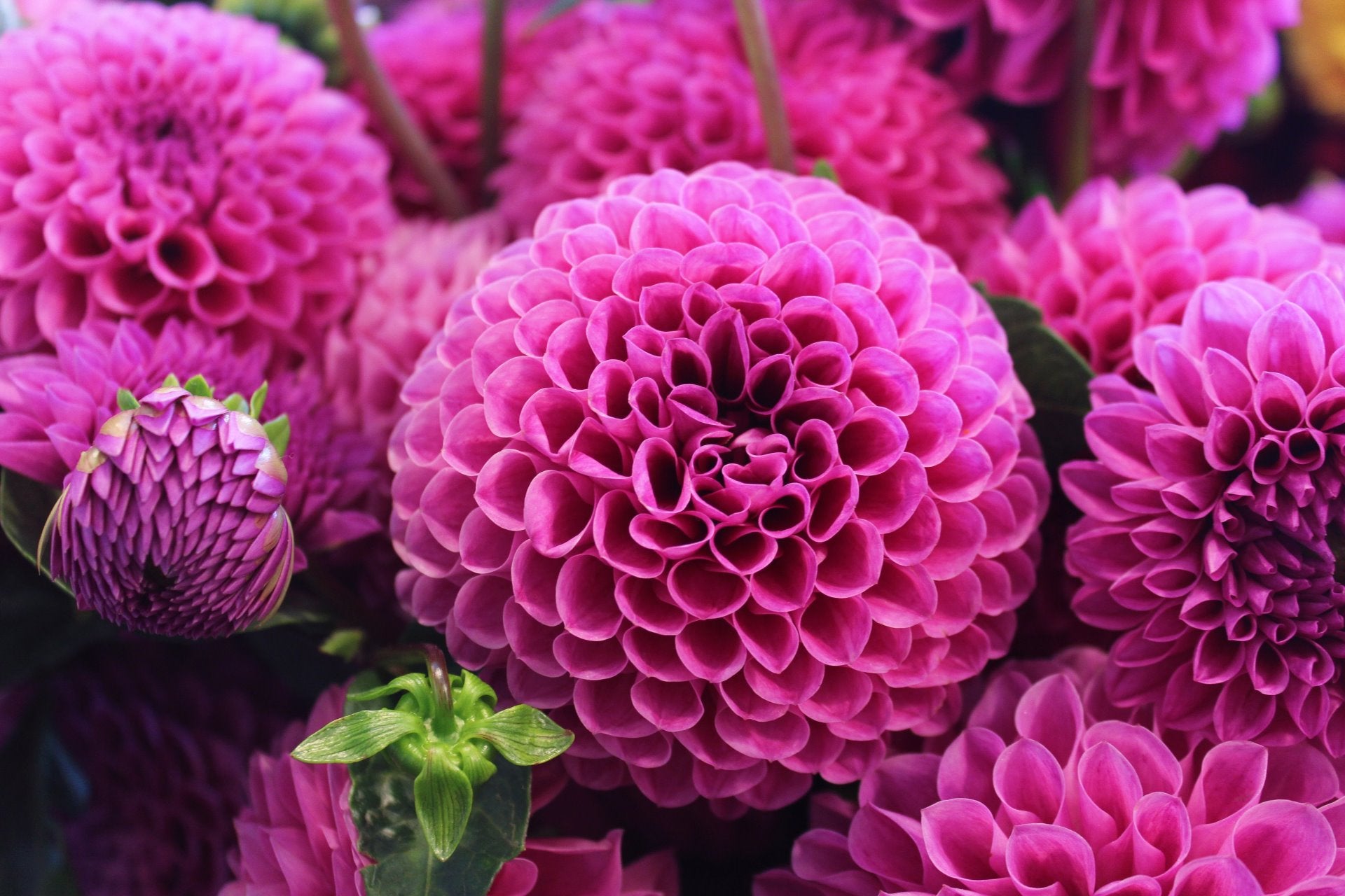 The History of Covent Garden Market