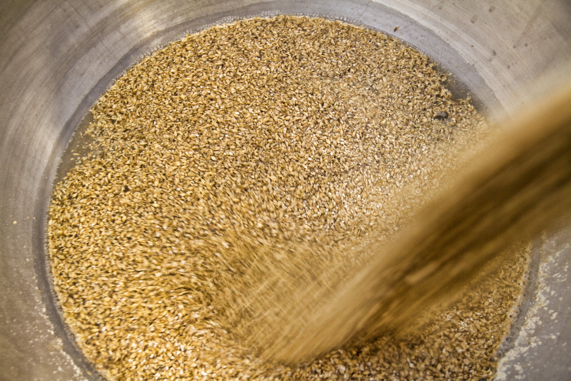 What Ingredients Are In Beer?